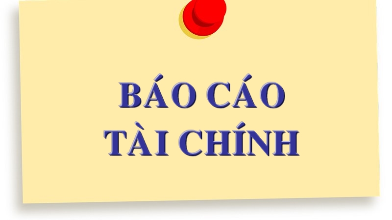 Báo cáo tài chính năm 2022