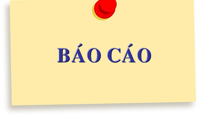 Báo cáo thực trạng quản trị và cơ cấu tổ chức của doanh nghiệp 6 tháng đầu năm 2026